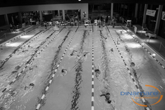 24-Std-Schwimmen_2016